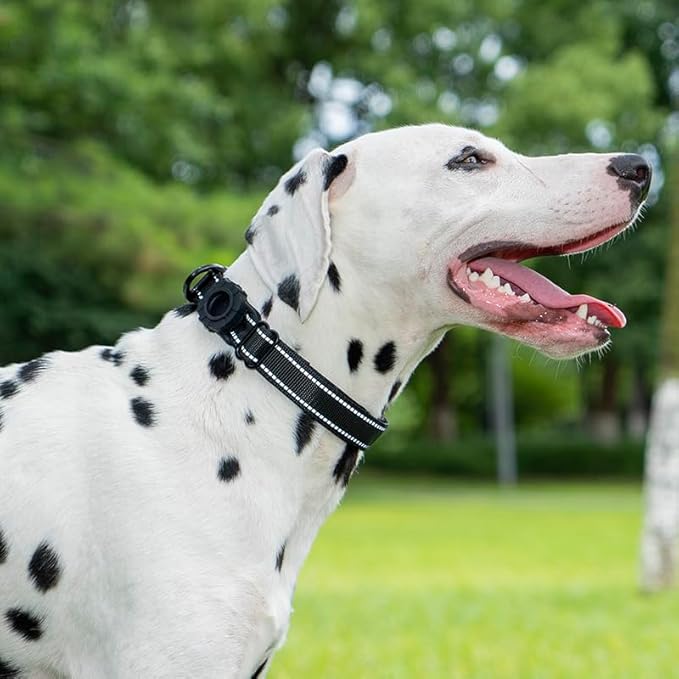 JSXD AirTag Dog Collar, Night Reflective Nylon Dog Collar for Small Medium Large Dogs,Lockable Quick Release Buckle,Padded Breathable Pet Collar with AirTag Holder (Pink, Large)