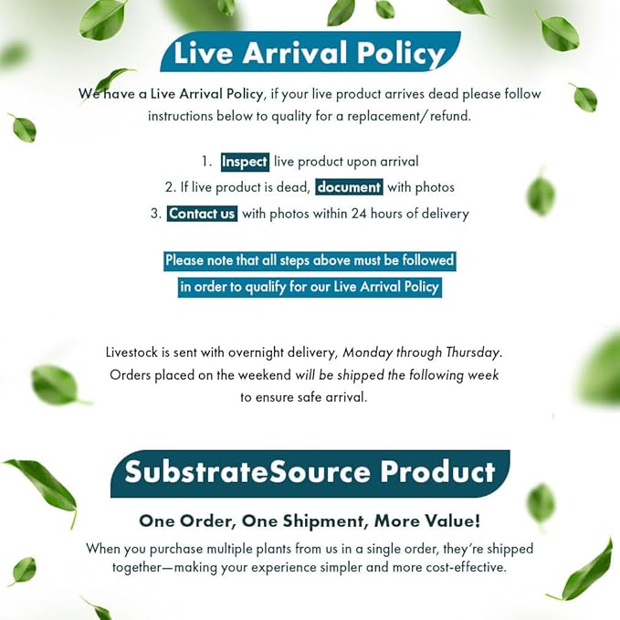 Live Plants – Anacharis (Egeria densa) – Low to Medium Light, Bright Green, Background Accent – Lead Bunch, 4 Pack