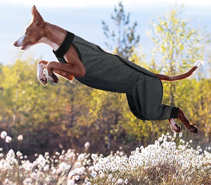 ROZKITCH Dog Surgery Leg Sleeve Rear Legs, Male Female Pet Prevent Licking Wound Elbow Knee Protector, Dog Recovery Suit Cone Collar Alternative Pants Shirt for Wound Heal Wrap Grey S