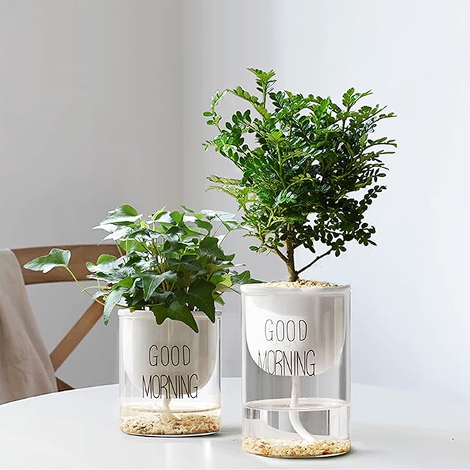 18lb Cactus Pea Gravel Rocks,1/5 Inch Pebbles for Indoor Plants, Natural Succulent Rock and River Rocks Decorative for Aquariums, Vases, Terrarium, Outdoor Gardening, Top Dressing for Potted Plants