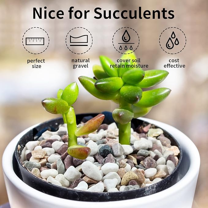 10 lbs Colorful Pebbles Pea Gravel for Landscaping, 3/8 Inch Decorative River Rocks for Plant Indoor Succulent Cactus Vase Garden and Plant Pots