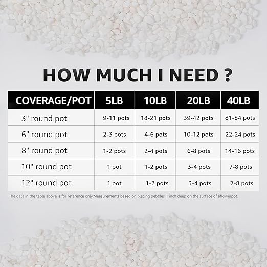 1/5 Inch White Succulent Cactus Gravel, 5 lbs – Ideal for Succulent Plant Pots, Vase Fillers, Glass Containers, Aquariums, Patios, and Outdoor Gardening River Stones (White, 5 Pounds)