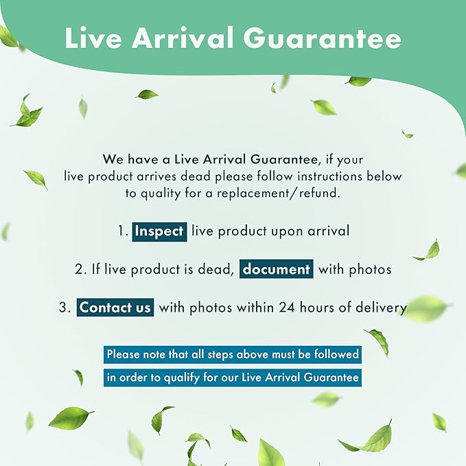 Live Aquarium Stem Plants - Freshwater Aquatic Plant for Fish Tanks, Aquascaping - (Rotala H'Ra, 1 Bunch)