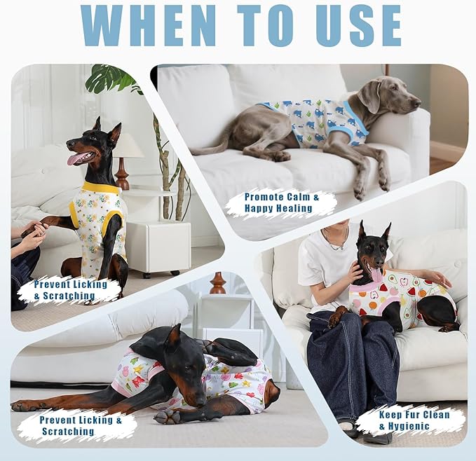 Recovery Suit for Dogs After Surgery, Professional Dog Surgical Suit for Female Spay, Male Neuter, E-Collar & Cone Alternative Dog Onesie for Abdominal Wounds Skin Disease, Blue, M