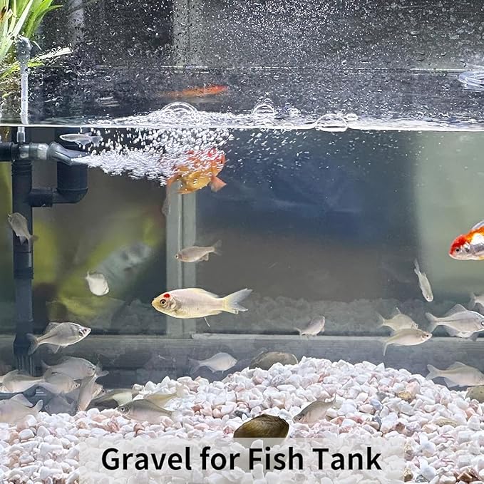 2 lbs White Gravel, 3/8 Inch White Pebbles for Indoor Plants. White Stones for Succulents, Planters, Vase and Outdoor Garden Landscaping