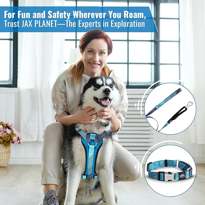 No-Pull Dog Harness with Handle - Escape Proof, Anti-Pulling, Grip Control, Multi-Angle Reflective for Safe Walks & Training, Easy On & Off, Metal Buckle–Pet Harness, Medium/Large Dogs- H3- Blue