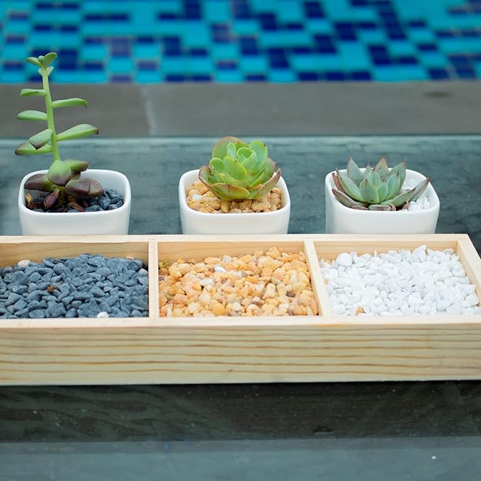 18lb White Cactus Pea Gravel Rocks,1/4 Inch Pebbles for Indoor Plants, Natural Succulent Rock and River Rocks Decorative for Aquariums, Vases, Outdoor Gardening, Top Dressing for Potted Plants