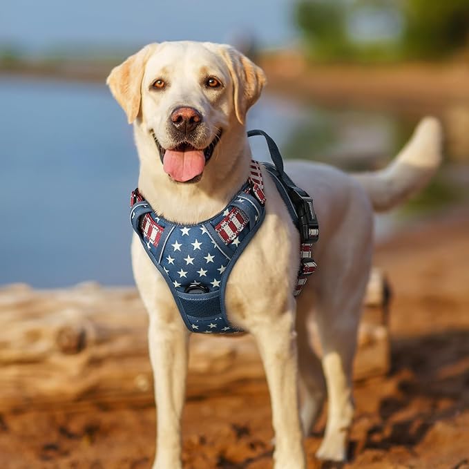 rabbitgoo Dog Harness No Pull with 2 Leash Clips, Adjustable Soft Padded, Reflective Oxford No Choke Pet Vest with Easy Control Handle for Large Dogs, Blue Star, S