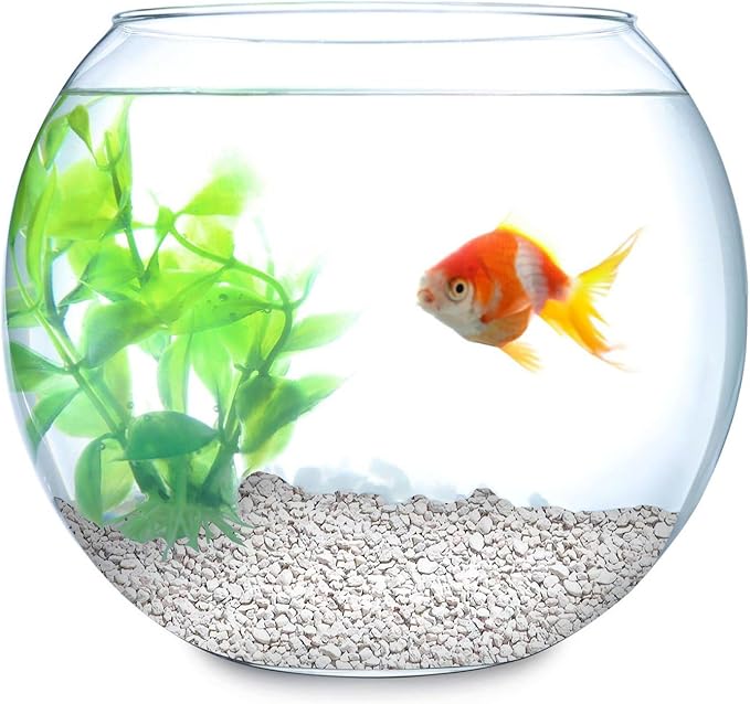 Hygloss Products Craft Rocks, Mini Stones for Art Projects - Bucket O' Gravel, White, 1 lb