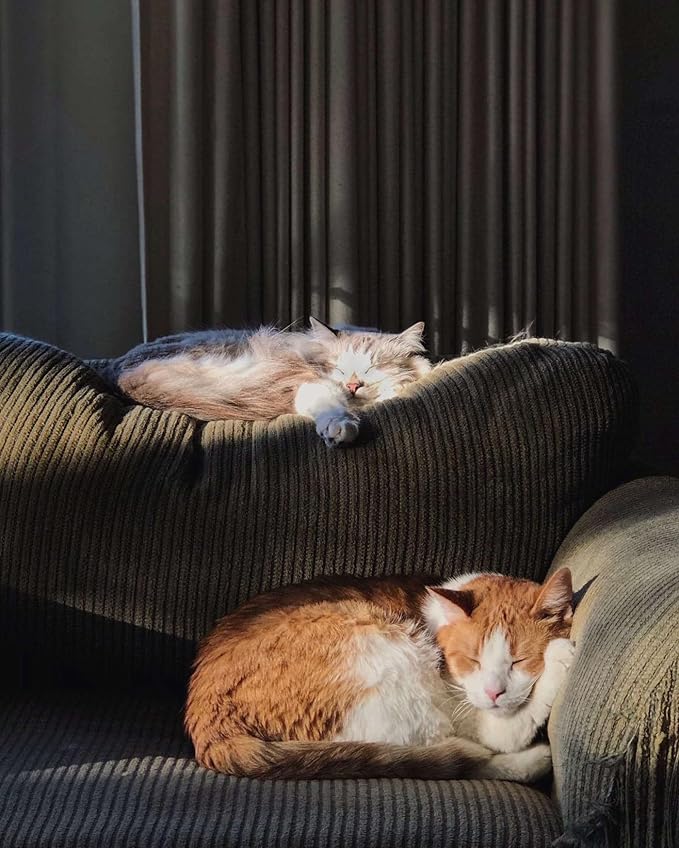 LAIDANLA Garnet Cat Healing Crystals Figurine Sleeping Cat Hand Carved Cute Statue Polished Stone Sculpture Reiki Office Room Bedroom Desk Home Decoration Gifts 1.6"