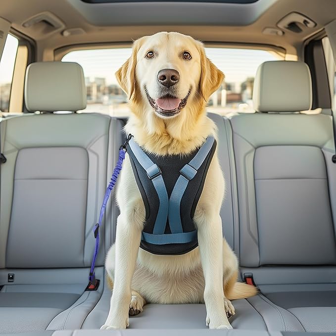 3 Pack Thickened Dog Seat Belt, Set Retractable Dog Car Adjustable Seatbelts for Vehicle Nylon Pet Safety Heavy Duty & Elastic & Durable Car Harness for Dogs, Blue