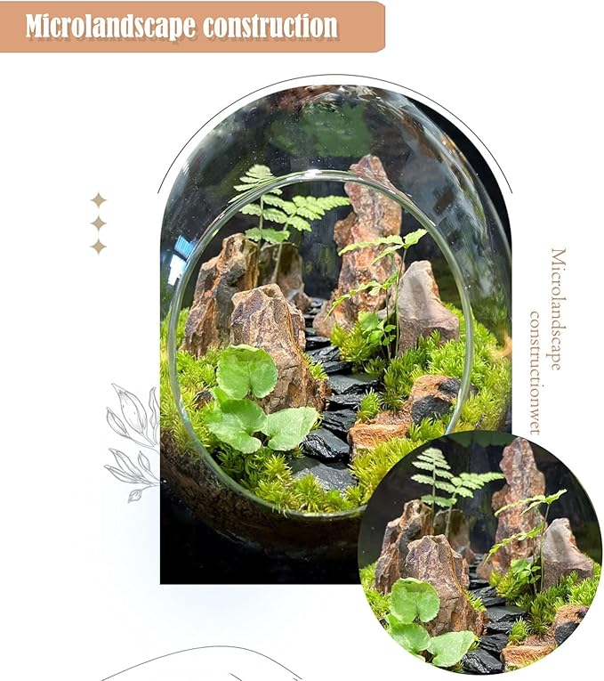 Dragon Rocks Aquariums Stones Natural Rocks for Aquascaping, Aquariums, Terrariums, Vivariums Decorative Stone,Reptile Enclosures,Paludariums,and Gardens-10LB(2 to 7 inch)