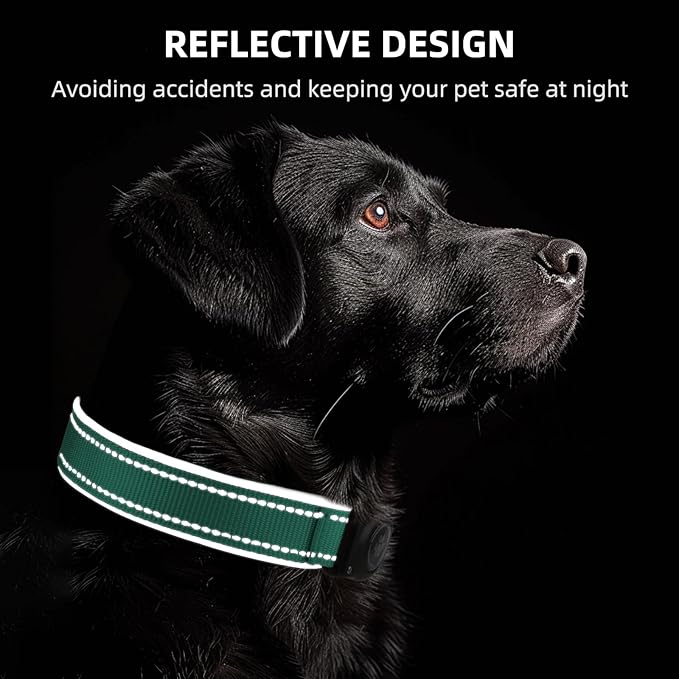 Airtag Dog Collar - 100% Waterproof Air tag Dog Collar Holder for Apple AirTag, Reflective, Soft Padded, Everlasting, GPS Dog Collar for Small Medium Large Dogs (Teal, M)