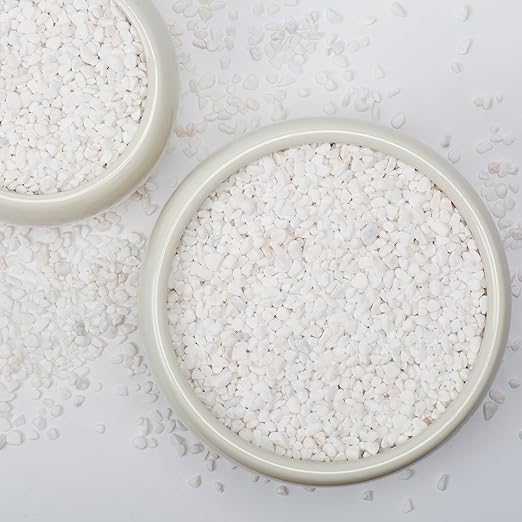 1/5 Inch White Succulent Cactus Gravel, 5 lbs – Ideal for Succulent Plant Pots, Vase Fillers, Glass Containers, Aquariums, Patios, and Outdoor Gardening River Stones (White, 5 Pounds)