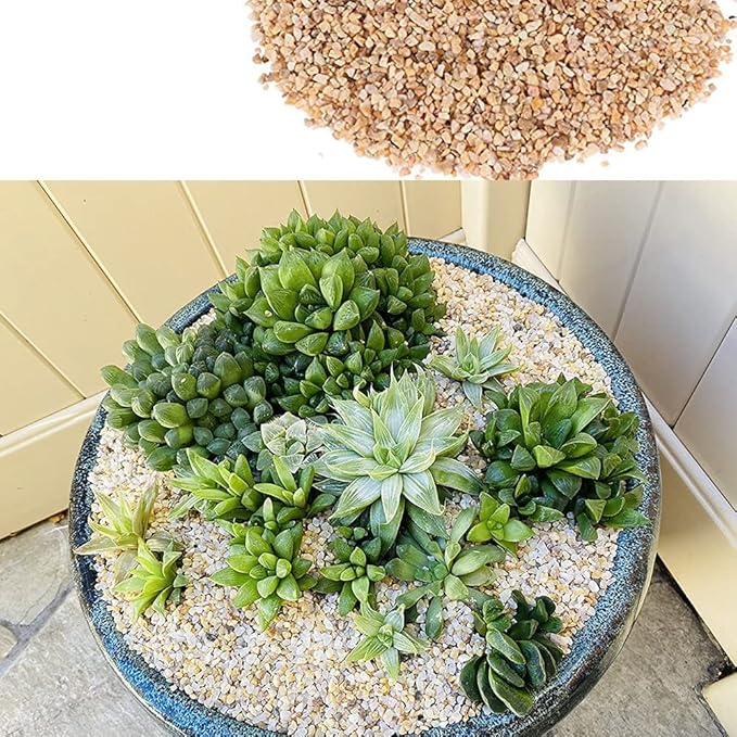 18lb Cactus Pea Gravel Rocks,1/5 Inch Pebbles for Indoor Plants, Natural Succulent Rock and River Rocks Decorative for Aquariums, Vases, Terrarium, Outdoor Gardening, Top Dressing for Potted Plants