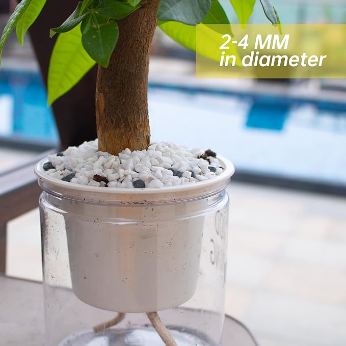 18lb White Cactus Pea Gravel Rocks,1/4 Inch Pebbles for Indoor Plants, Natural Succulent Rock and River Rocks Decorative for Aquariums, Vases, Outdoor Gardening, Top Dressing for Potted Plants