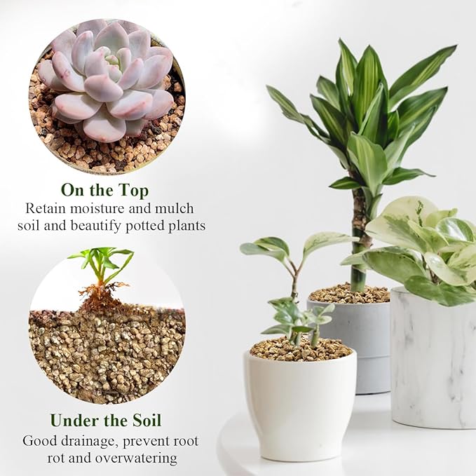 2 lbs Maifanitum Stones for Succulent,1/4 Inch Decorative Rocks for Indoor Plants, Bonsai, Soil Cover. Small Stone of Lightweight for Promote Soil Root Growth, Water Drainage and Plant Growth