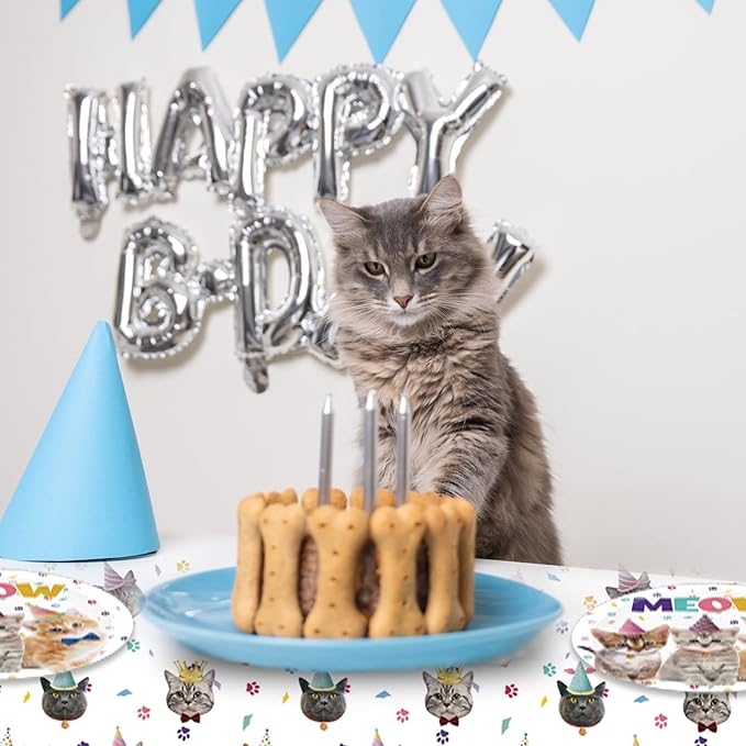 41Pcs Cat Theme Party Supplies - Kitten Birthday Party Decorations Include 20 Paper Plates, 20 Napkins and 1 Tablecloth