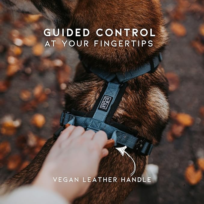 MADE TO ROAM Premium Explorer Harness - Y-Shaped Dog Harness with Adjustable Durable Nylon, Soft Padding, Metal Buckles and Leather Handle for Small, Medium, Large Dogs (Florida Seaside, Size 1)