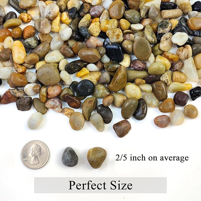 10 lbs Pea Gravel for Landscaping, 2/5 Inch Size Mixed Color River Rocks for Aquarium, Succulent, Vase Fillers, Cactus Bonsai, Plant Soil Cover and Outdoor Garden Rocks.