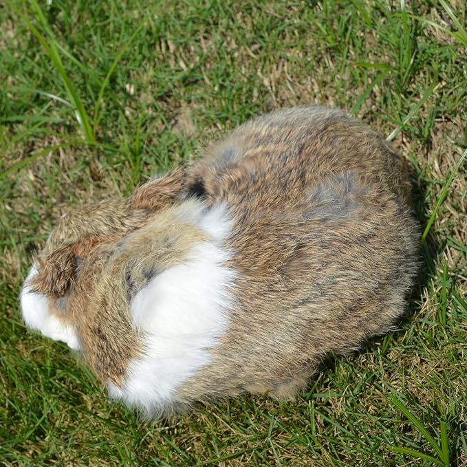 Realistic Furry Sleeping Cat Figurine Simulation Kitty Lifelike Kitten Home Office Shelf Decorative Statue, Synthetic Fur Pet Replica (Brown)