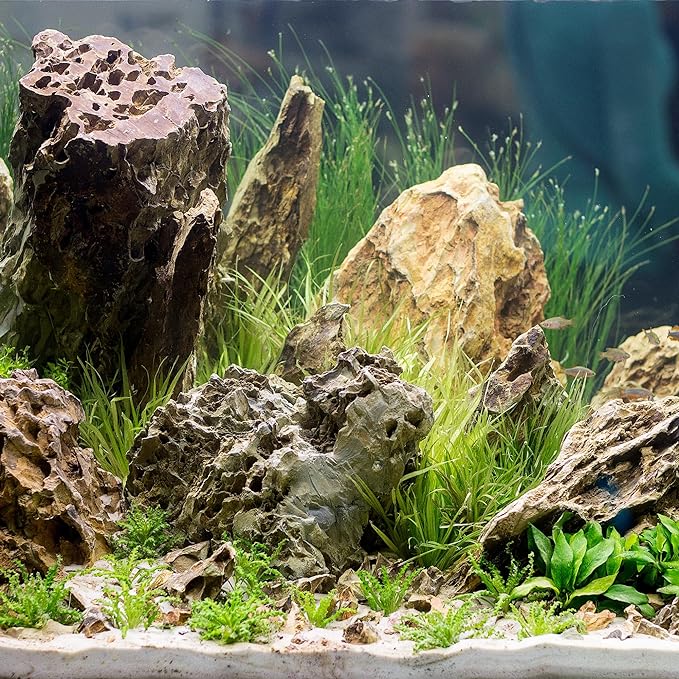 10-12 Inches Natural Dragon Stone 3 PCS Extra Large Aquarium Rocks for Aquascaping, Aquarium Landscaping, Terrariums, Fish Tank Decoration, Vivariums, Paludarium, Amphibian Enclosures