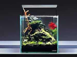 LANDEN Dark SEIRYU Stones Natural Rocks (3~11 inches,11pcs) x2 40Lx 2 Cases Total 80L 37lbs for Aquarium, Paludarium, Terrariums, Landscaping Rocks, Decorative Aquarium Rocks