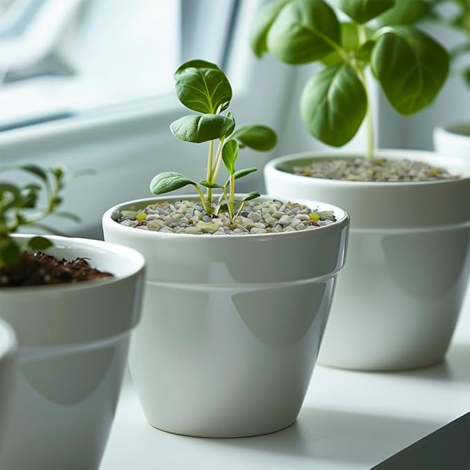 Small Natural Rocks Decorative Pebbles Tiny Gravel for Aquarium Gravels,Fish Turtle Tank,Soil Cover, Indoor Outdoor Garden Succulent Plants Top Dressing,Zen Garden,Vase Fillers,2 LB,Light Green Mix