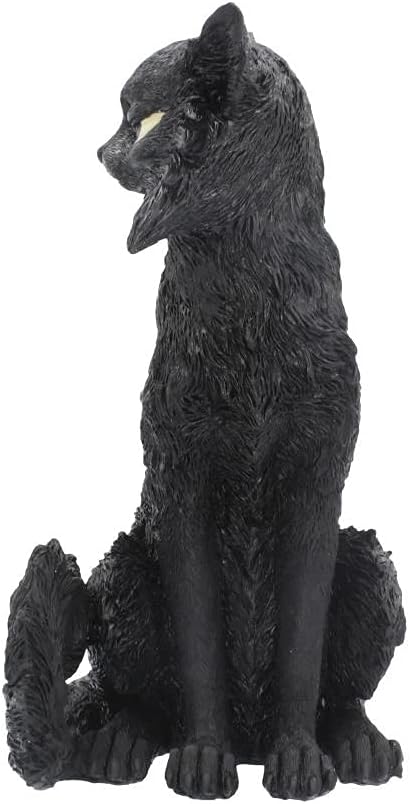 Nemesis Now Salem Witch Familiar Black Cat Figurine 32.5cm, Resin, Black, Witch's Familiar Figurine, Black Cat Ornament, Witchcraft Decor, Cast in The Finest Resin, Expertly Hand-Painted