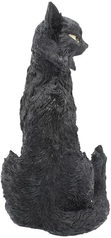 Nemesis Now Salem Witch Familiar Black Cat Figurine 32.5cm, Resin, Black, Witch's Familiar Figurine, Black Cat Ornament, Witchcraft Decor, Cast in The Finest Resin, Expertly Hand-Painted