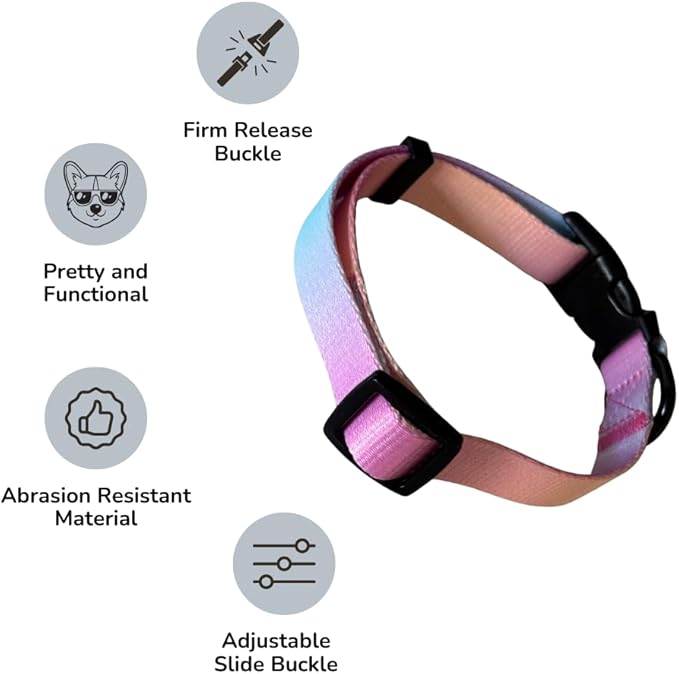 HILLBERRY Dog Collar and Leash Set Adjustable Rainbow Pink Purple Blue Puppy Pet Essentials and Supplies - Size XS