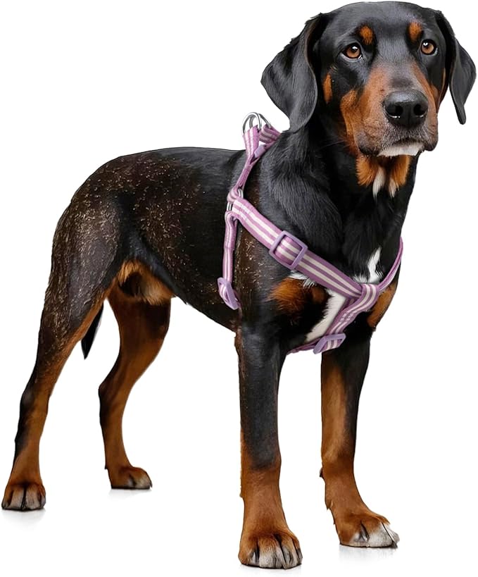 Stripe Step in Dog Harness for Small Dogs, Freedom Nylon Dog Halter Vests, Lightweight and Escape Proof Puppy Harness, Quick Fits for Small Medium and Large Dogs, Purple XS