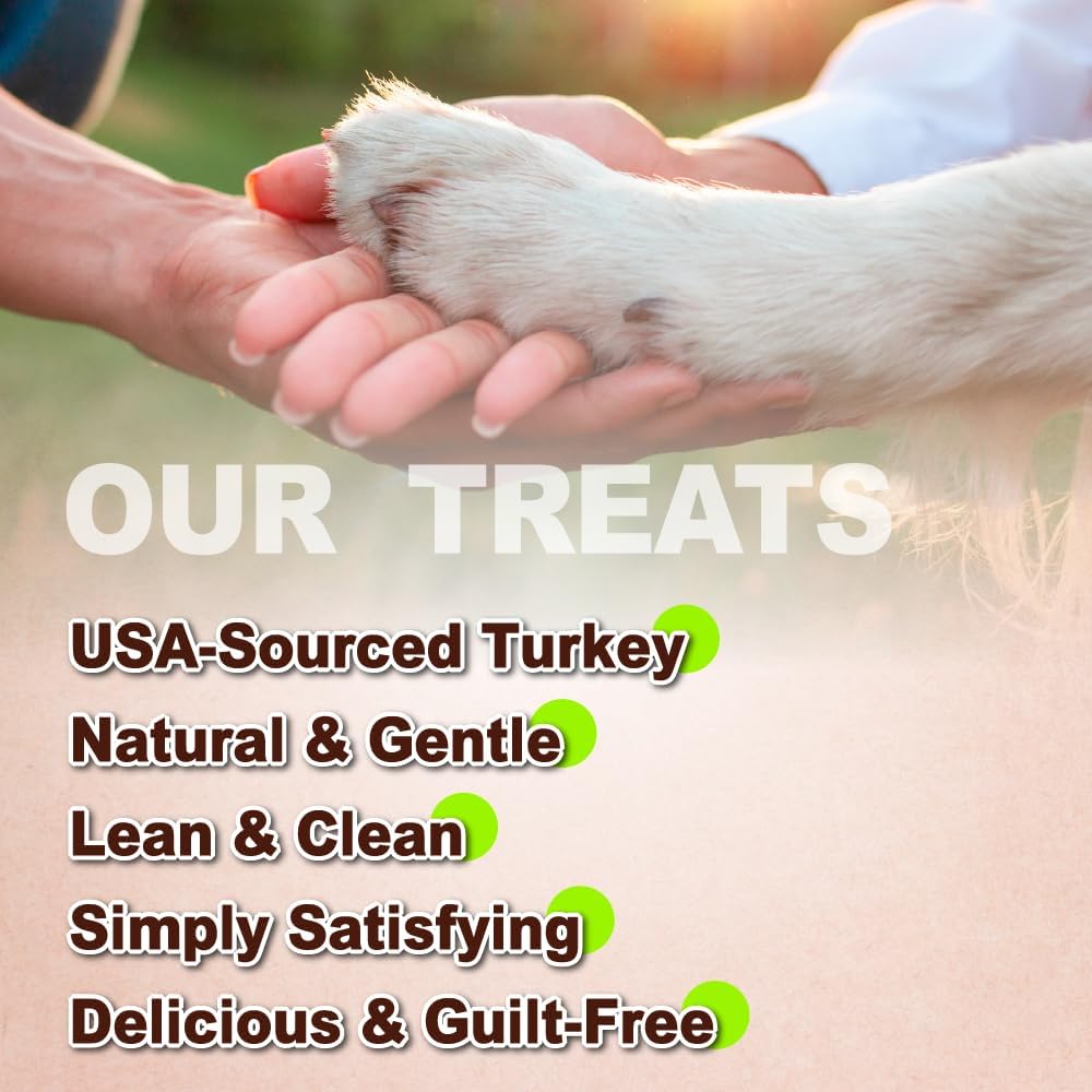 AFreschi Turkey Tendons for Dogs, USA-Sourced, Healthy Dog Treats, Rawhide-Free Puppy Chews, All Natural, Hypoallergenic Dog Treats, Classic Series, Braided Sticks, 3.5 oz Pack