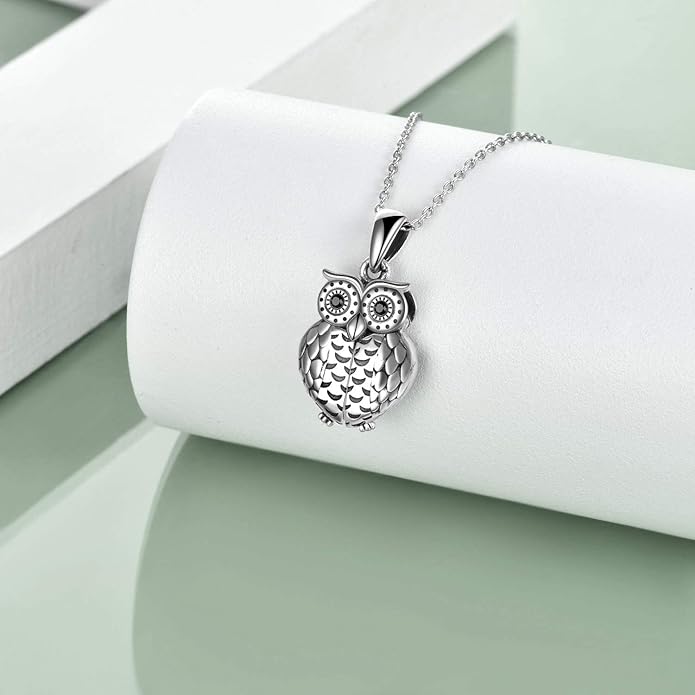 ONEFINITY Sterling Silver Always in My Heart Owl Urn Necklace for Ashes Owl Cremation Jewelry for Ashes of Loved Ones Keepsake Jewelry