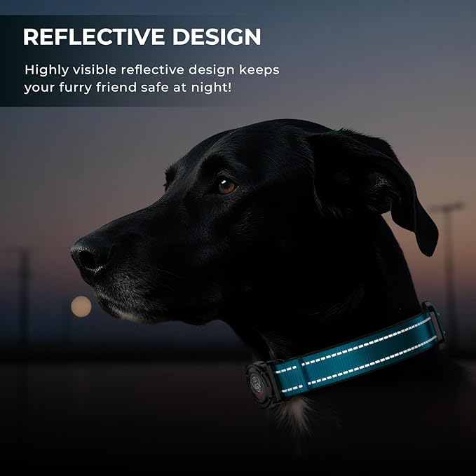 2025 Upgrade Airtag Dog Collar, Reflective Dog Collar with Airtag Holder, IP68 Waterproof| Metal Buckle| Ultra-Durable| Comfortable Padded, GPS Dog Collars for Medium Large Dogs (Blue,L)