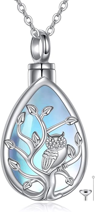 ONEFINITY Sterling Silver Always in My Heart Owl Urn Necklace for Ashes Owl Cremation Jewelry for Ashes of Loved Ones Keepsake Jewelry