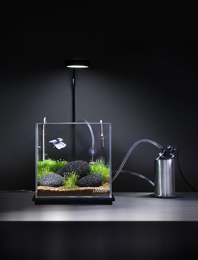 LANDEN Taiji Stone Natural Rocks(18lbs, 2~9 inches,6pcs) for Aquascape and Bonsai, Aquarium, Paludarium, Fish Tank Decoration Rocks, Landscaping Model Stone