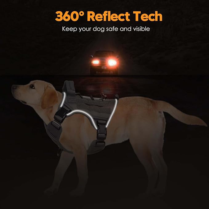 Heavy-Duty Tactical Dog Harness for Large Dogs, No Pull Adjustable Reflective Pet Vest with Molle System, K9 Military-Grade Control for Service Training, Outdoor & 10+ Breeds, Gray, Small