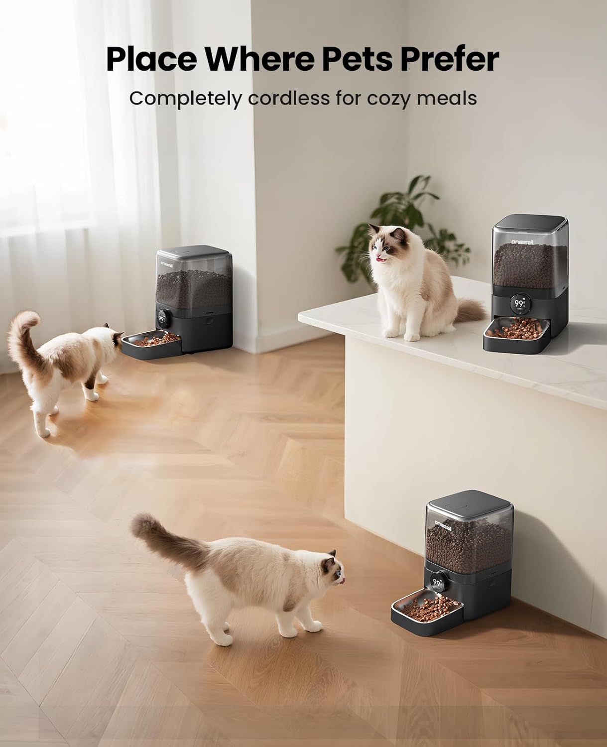 oneisall Cordless WiFi Automatic Cat Feeder, Rechargeable 100-Day Battery Operated Pet Feeder, 20 Cups/5L Timed Cat Food Dispenser for Large Kibble, Smart App Control (Black)
