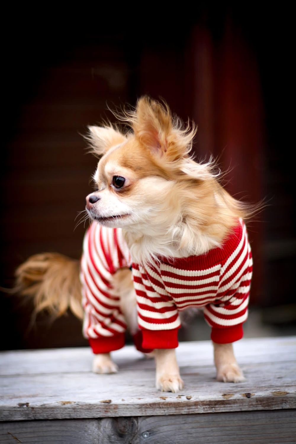 Fitwarm Red and White Striped Dog Pajamas, Waffle Dog Clothes for Small Dogs Girl Boy, Puppy Onesie with Feet, Pet Christmas Outfit, XS