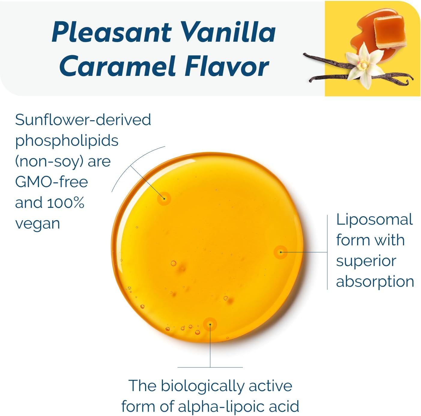 Researched Nutritionals C-RLA - Liposomal Vitamin C with R Lipoic Acid to Support Detox - Vegan & Soy-Free Vitamin C Liquid, Vanilla Caramel Flavor (10 Fl Oz)