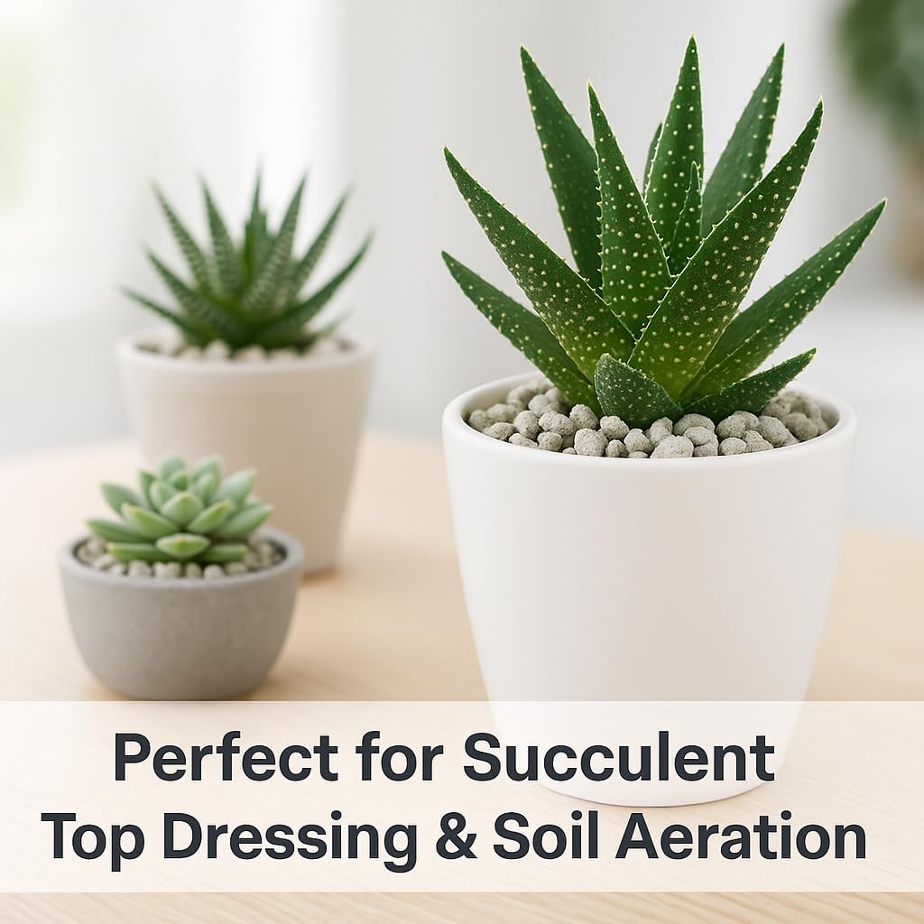 Horticultural Pumice for Plants, Natural Pumice Stone Soil Amendment, 3/8-1/4 inch, Made in USA (3 quarts - 2.7 lbs)