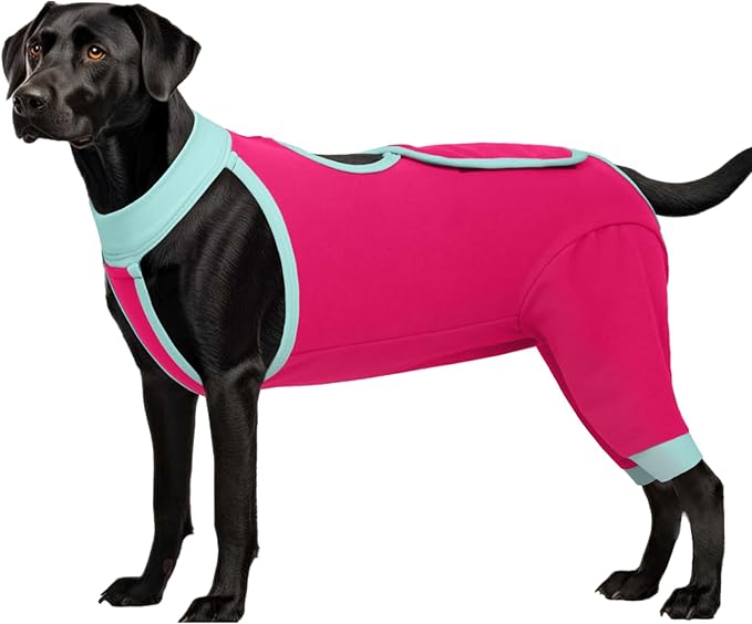 ROZKITCH Dog Surgery Leg Sleeve Rear Legs, Male Female Pet Prevent Licking Wound Elbow Knee Protector, Dog Recovery Suit Cone Collar Alternative Pants Shirt for Wound Heal Wrap Rosered XL
