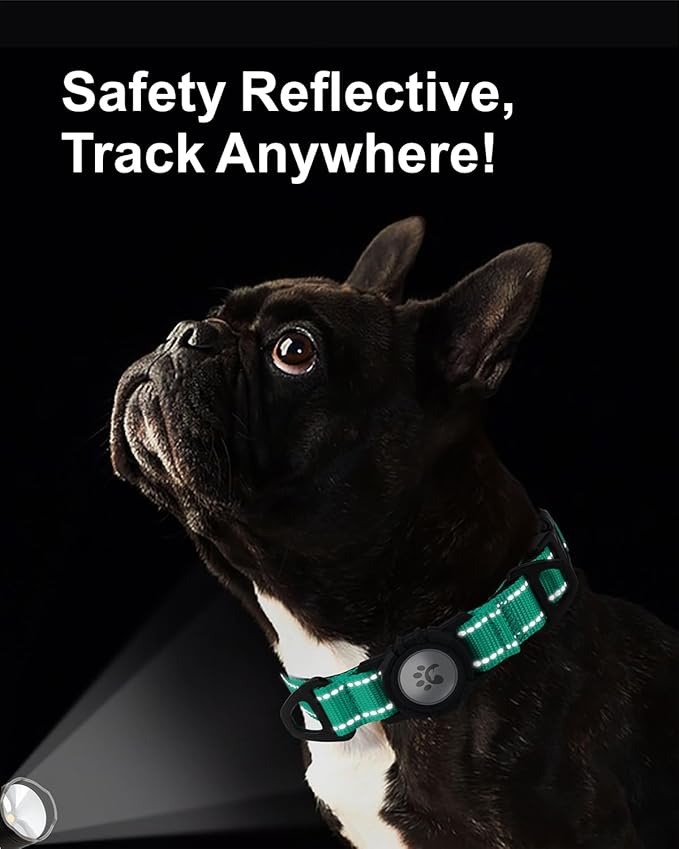 TagME Airtag Dog Collar,Waterproof Reflective Pet Collar with Airtag Holder,Soft Padded and Double D-Rings for Small Dogs,Turquoise