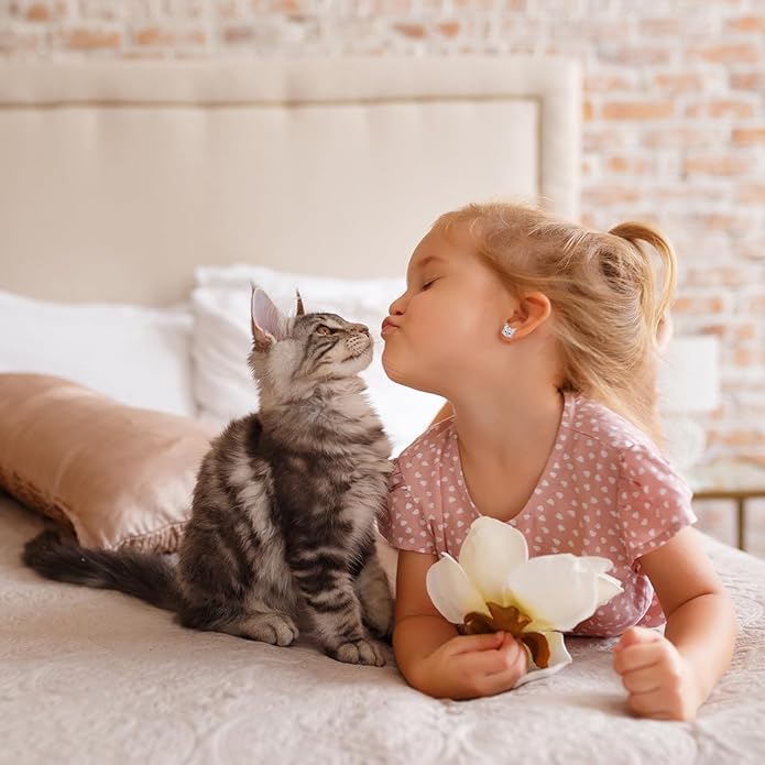 Lanqueen Cute Cat Stud Earrings for Girls Hypoallergenic Cat Cubic Zirconia Earrings for Women Teens Girls