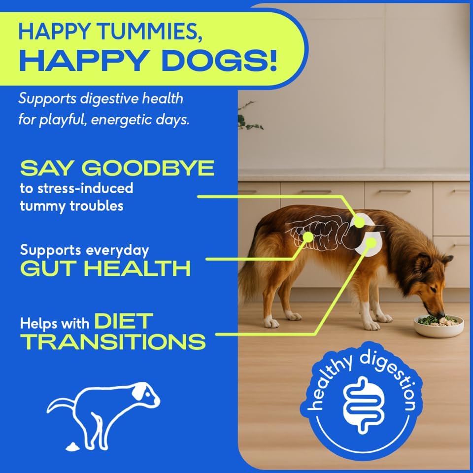 Native Pet Probiotics for Dogs - Dog Probiotics Powder for Digestive Health, Gut Support, & Immune Boost – Vet-Formulated Powder for Maximum Potency with Digestive Enzymes & Prebiotics - 120 Scoops