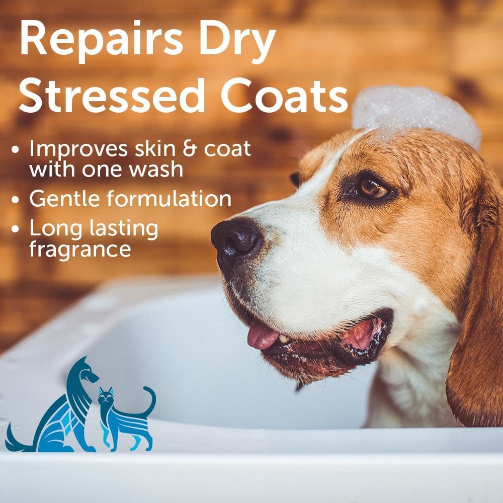 Nootie - Pet Shampoo for Sensitive Skin - Revitalizes Dry Skin & Coat - Natural Ingredients - Gentle Dog Shampoo - Cleans & Conditions