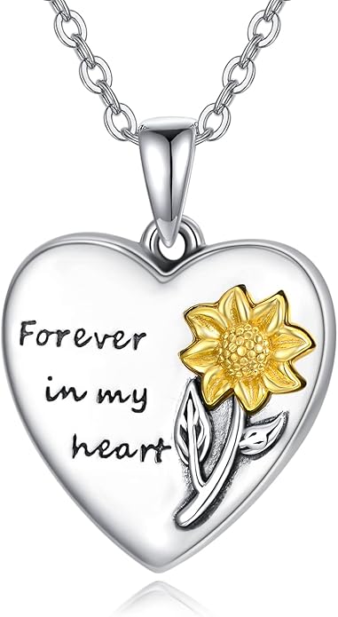 MEDWISE Wing/Wolf/Compass Urn Necklace for Ashes 925 Sterling Silver Necklace Guardian Angel Ashes Keepsake Memorial Urn Pendant Pet Cremation Jewelry for Ashes Memorial Jewelry for Dog Cat Pet Men