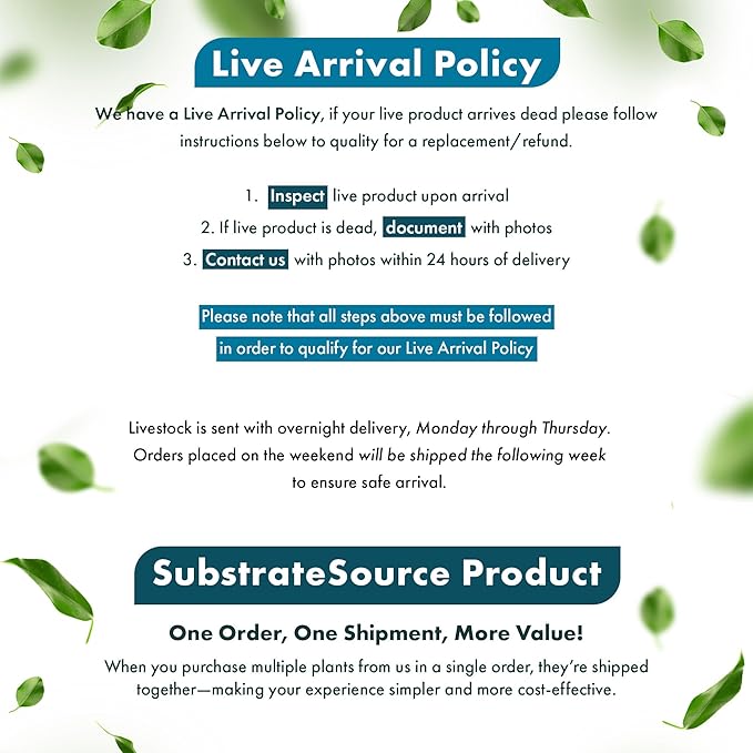 Live Aquarium Stem Plants - Freshwater Aquatic Plant for Fish Tanks, Aquascaping - (Rotala Bossii, 4 Bunches)