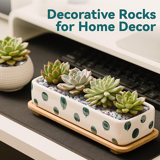 10 lbs Natural Pea Gravel Pebbles for Aquarium, Fish Tank, 3/8 inch Decorative Pebbles for Indoor Plants, Succulent, Bamboo, Vase, Drainage Rocks for Potted Plants, Top Dressing, Mixed Color